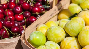 Gaes !!! Ini 7 Buah Lezat yang Bikin Imun Kuat dan Sehat!