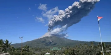 Korban Letusan Gunung Lewotobi Laki-laki Bertambah. Ini Tips Keselamatan Saat Erupsi! (Media Suaragong)