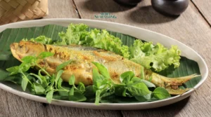Gaes !!! 5 Ikan Lokal Murah yang Bikin Otak Makin Cerdas!