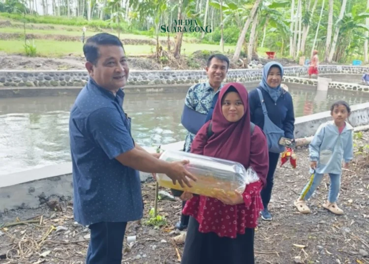 Kolam Pemandian Sumber Tiyo Lumajang Semakin Ramai Dikunjungi Setelah Penebaran Bibit Ikan