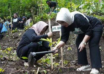 Pj. Bupati Lumajang Tanam Pohon untuk Lestarikan Sumber Mata Air Klerek