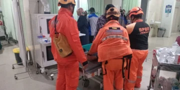 Pohon Tumbang Akibat Hujan Lebat di Kabupaten Jember Sebabkan Kemacetan dan Korban Luka Ringan