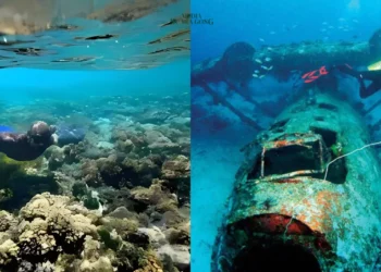 Museum Bawah Laut Biak, tidak hanya menawarkan keindahan bawah laut, namun juga memiliki nilai bersejarah akan saksi bisu perang dunia ke 2