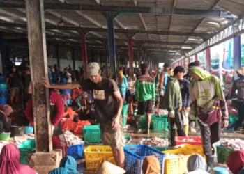 Hasil tangkapan ikan menurun karena cuaca buruk di Pelabuhan Ikan Brondong, Kabupaten Lamongan