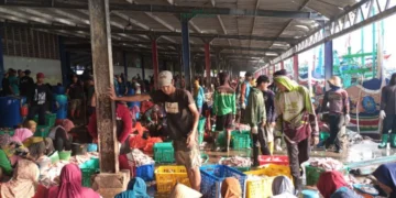 Hasil tangkapan ikan menurun karena cuaca buruk di Pelabuhan Ikan Brondong, Kabupaten Lamongan