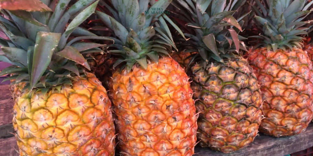 Makan Nanas Dikala Hamil Bisa Menyebabkan Keguguran?