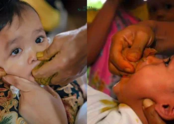 Sebuah Warisan Budaya dari Banjarnegara, Tradisi loloh bayi atau jamu cekok masih menjadi bagian dari sebagian masyarakat Banjarnegara