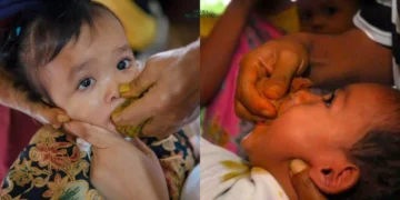 Sebuah Warisan Budaya dari Banjarnegara, Tradisi loloh bayi atau jamu cekok masih menjadi bagian dari sebagian masyarakat Banjarnegara