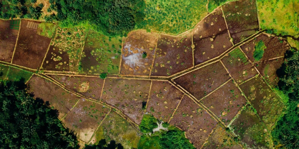 Kementerian ATR/BPN mengalokasikan tanah terlantar seluas 79 ribu hektare