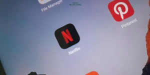 Imbas PPN 12 Persen, Tarif Netflix dan Spotfy Naik di 2025