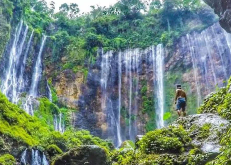 Air Terjun Tumpak Sewu Terletak di perbatasan Kabupaten Lumajang dan Kabupaten Malang menawarkan pesona alam yang memukau dan mencuci mata