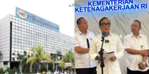 Wamenaker: Gelombang PHK Meningkat, Pemerintah Siapkan Skema Perlindungan Pekerja