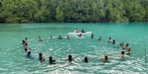 Kehe Daing: Laguna Tersembunyi di Pulau Kakaban yang Memukau