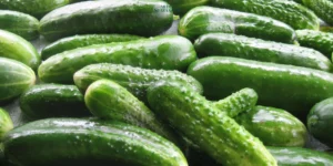 Diet Mentimun ala Koki Nozaki: Cara Menurunkan Berat Badan dengan Sehat