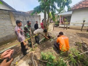 Granat Nanas Berkarat Ditemukan di Pekarangan Warga Probolinggo
