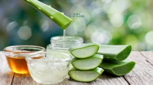 5 Ramuan Herbal Ampuh Atasi Asam Lambung