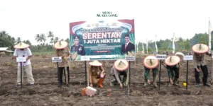 Forkopimda Lumajang Tanam Jagung Serentak Dukung Swasembada Pangan