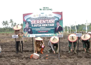 Forkopimda Lumajang Tanam Jagung Serentak Dukung Swasembada Pangan