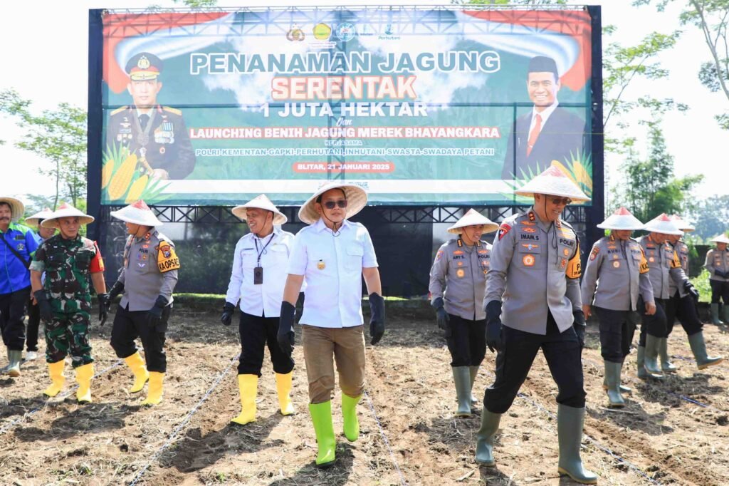 Jatim Gaspol! Gerakan Tanam Jagung Serentak di Blitar, Menuju Swasembada Pangan 2025