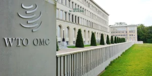 Indonesia Menang di WTO, Uni Eropa Dinyatakan Diskriminasi Produk Sawit