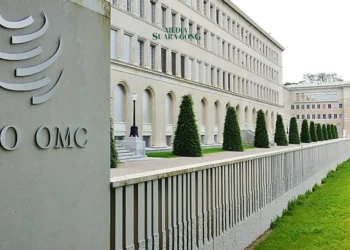 Indonesia Menang di WTO, Uni Eropa Dinyatakan Diskriminasi Produk Sawit