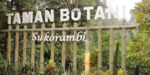 Menjelajahi Keindahan Alam Jember: 5 Destinasi Wisata Terbaik