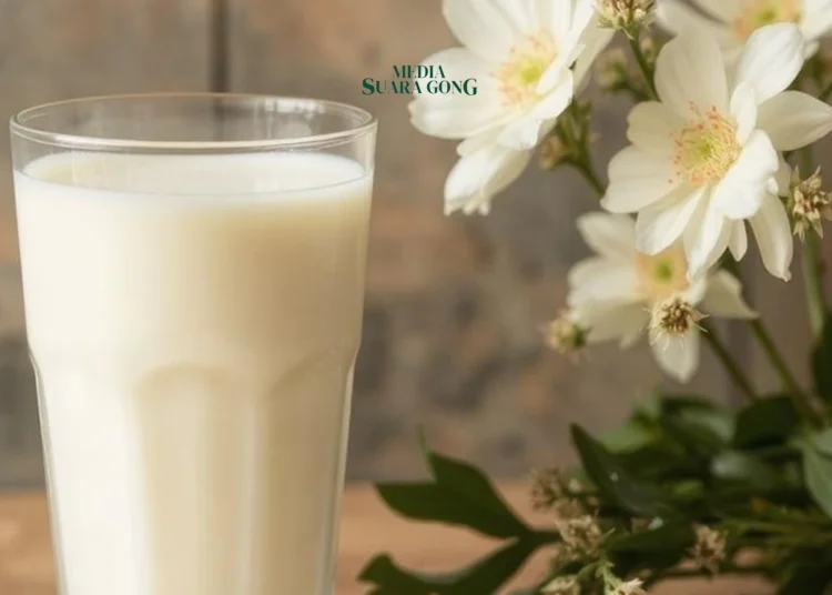 Minum Segelas Susu Setiap Pagi Bisa Cegah Kanker Usus Besar