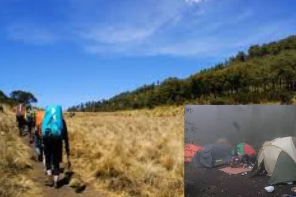 Ribuan Pendaki di Gunung Lawu, Apakah Perlu Dibatasi?