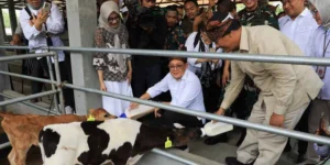 Pemprov Jatim Percepat Vaksinasi untuk Kendalikan Kasus PMK