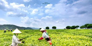 Pekerjaan di Sektor Pertanian Diprediksi Meningkat Tajam Hingga 2030