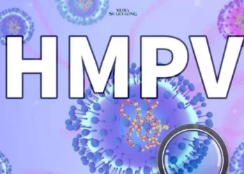 Virus HMPV kini telah masuk ke Indonesia, menimbulkan kekhawatiran di tengah masyarakat, Simak beirkut Perbedaannya dengan Covid-19