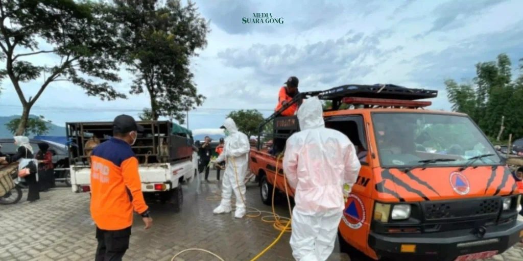 Cegah Virus PMK, BPBD Jatim Lakukan Sterilisasi Pasar Hewan di Daerah