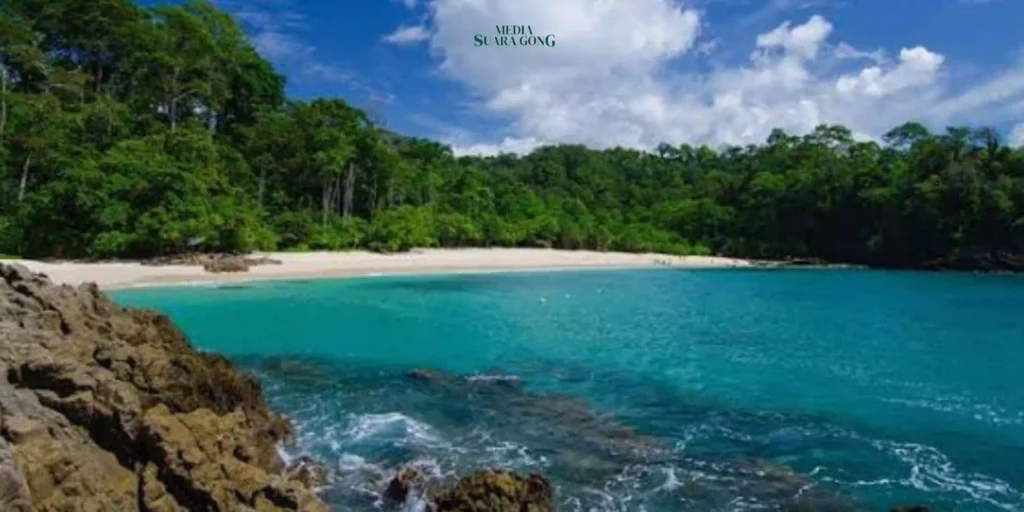 Banyuwangi memamerkan pesonanya melalui Pantai Teluk Hijau yang Terletak di kawasan Taman Nasional Meru Betiri.