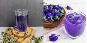 Minuman Kombucha Bunga Telang Bisa Taklukan Kolesterol?