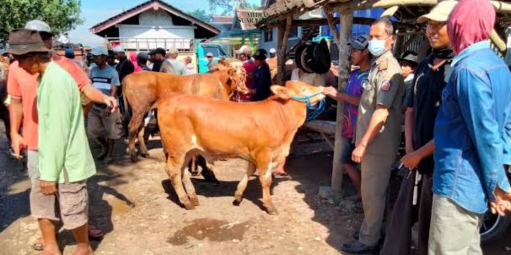 Anggota DPRD Jawa Timur menyerukan langkah tegas berupa penutupan sementara pasar hewan di Jember untuk cegah penyebaran PMK