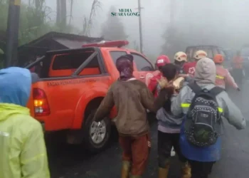 Telah terjadi sebuah Bencana Tanah Longsor di Petungkriyono, Pekalongan, Jawa Tengah, Tercatat terdapat 22 korban jiwa dan 4 Orang hilang