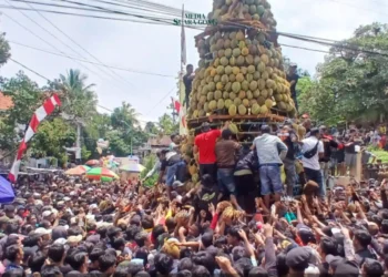 Tumpeng durian Menjulang Tinggi di Perayaan Selametan di desa Kronto, Kecamatan lumbang, Kabupaten Pasuruan.