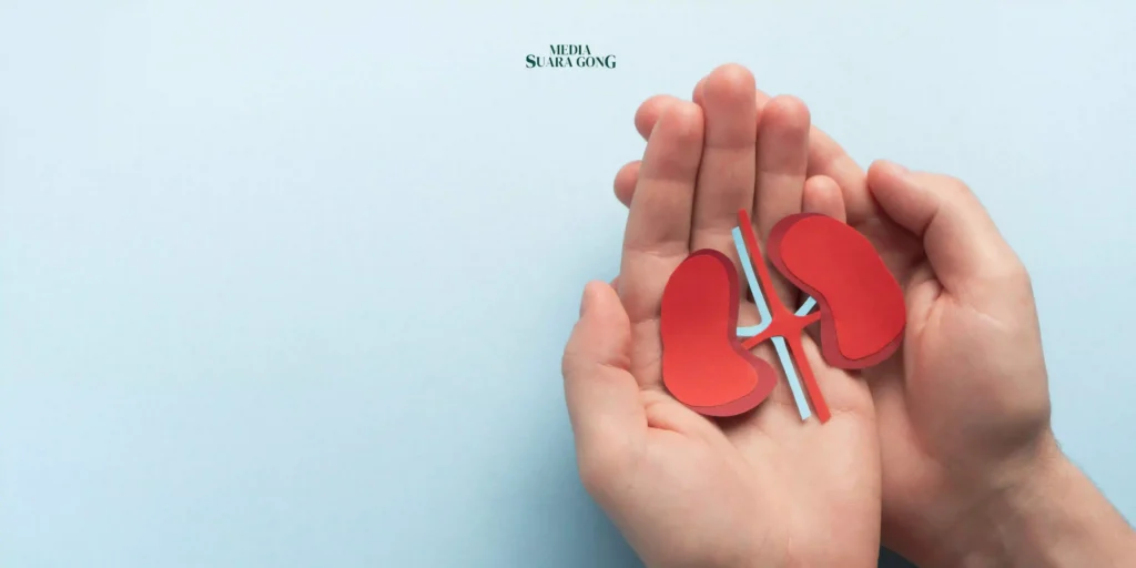 Makanan Apa Saja yang Harus Dihindari Penderita Penyakit Ginjal Kronis?