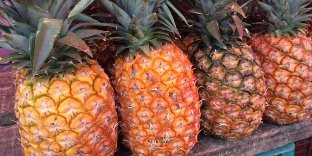 Meski Bermanfaat ada beberapa makanan yang gak bleh dimakan barengan sama nanas. Berikut lima jenis makanan yang perlu dihindari