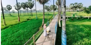 Edu Wisata Lontar Sewu Pilihan Terbaik Rekreasi Alam Asri di Gresik