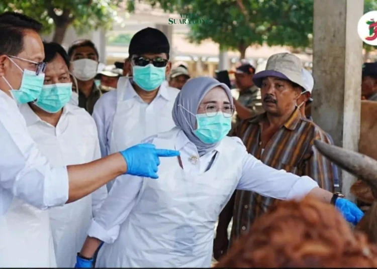 Pj Gubernur Jawa Timur turun langsung memantau pasar hewan di Probolinggo, Antisipasi dan Awasi Penyebaran Penyakit PMK di Jatim