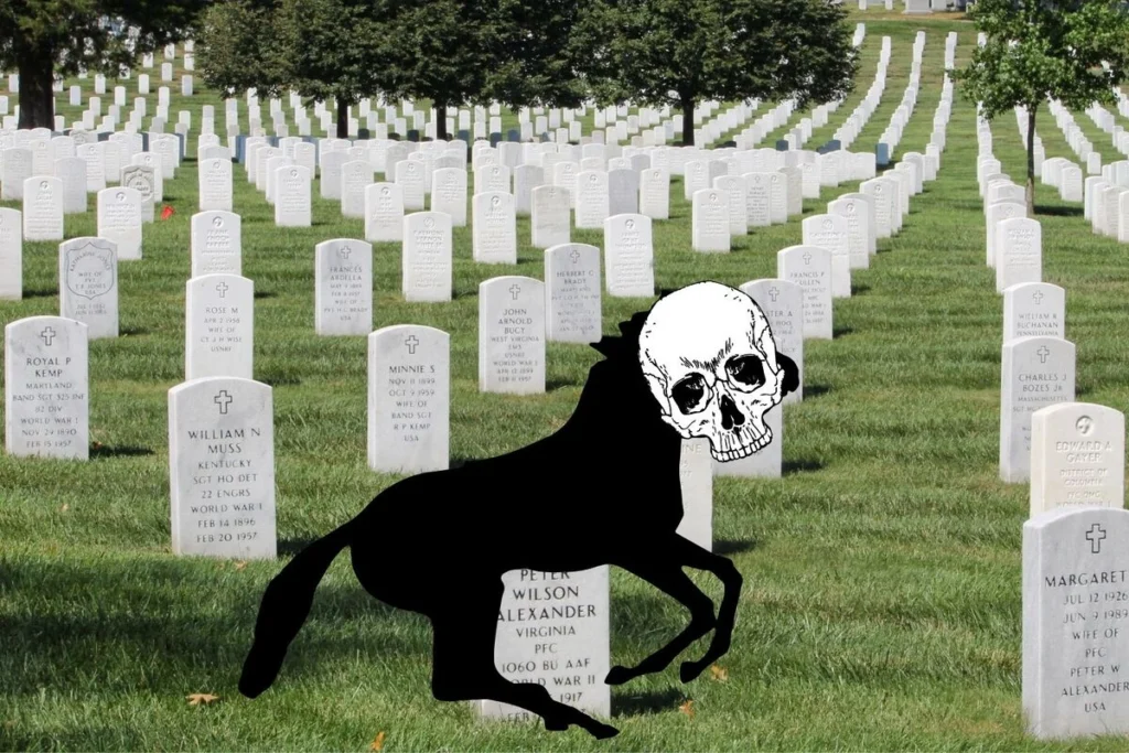 Teori Kuda Mati adalah ungkapan satir pengambilan keputusan atas sesuatu yang seharusnya tidak bisa dipertahankan lagi