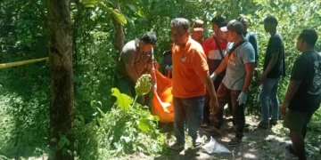 Penemuan Mayat Pria di Hutan Jombang: Tewas Akibat Pukulan Benda Tumpul (Media Suaragong)