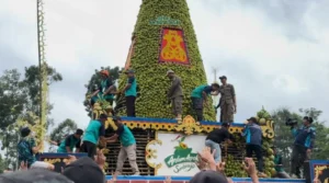 “Andum Alpukat” Sambirejo Jombang: Perayaan Panen Raya