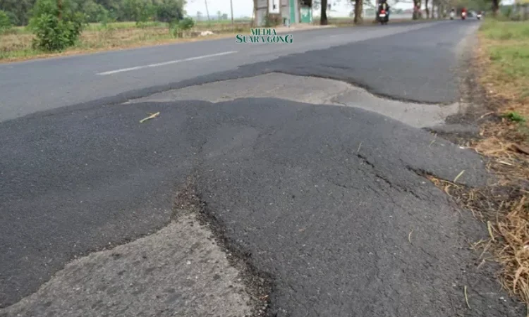 Hujan Deras Rusak Jalan Raya Jombang, Pengendara Diminta Waspada (Media Suaragong)