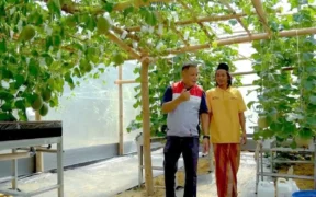 PT Pertamina Hulu Energi West Madura Offshore (PHE WMO), meraih penghargaan PROPER Emas 2024 dari Kementerian Lingkungan Hidup dan Kehutanan