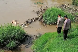 Mayat Tanpa Identitas Ditemukan di Aliran Irigasi Kediri, Polisi Selidiki