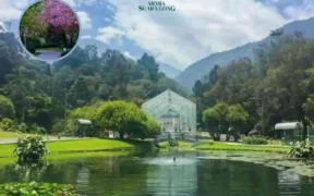 Kebun Raya Cibodas merupakan destinasi wisata dan Rekreasi keluarga yang memadukan keindahan alam dan keanekaragaman hayati.