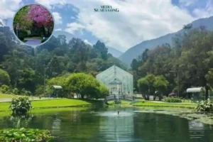 Keindahan Wisata Kebun Raya Cibodas di Kaki Gunung Gede