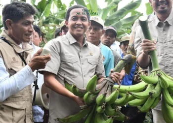 Lumajang Tunjukkan Komitmen Pengelolaan Perhutanan Sosial pada Dunia Internasional